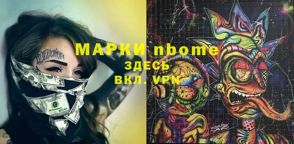 шишки Лабытнанги