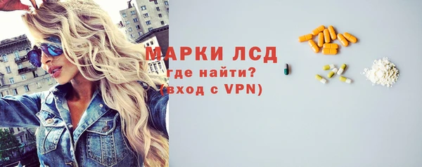 шишки Лабытнанги