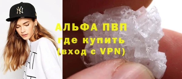 шишки Лабытнанги