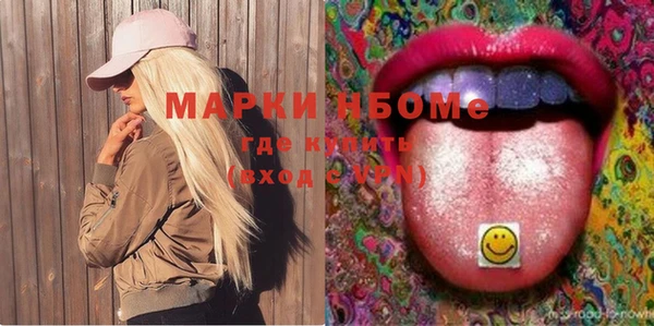 шишки Лабытнанги