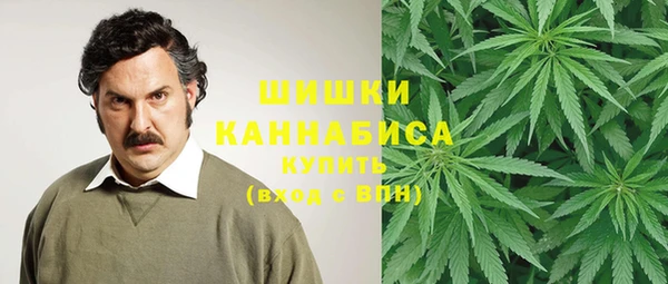шишки Лабытнанги
