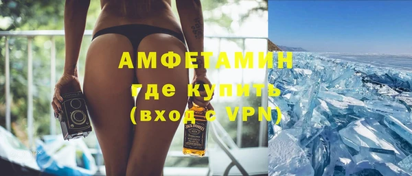шишки Лабытнанги