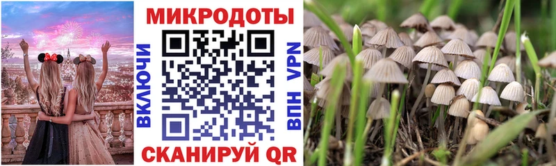 Галлюциногенные грибы MAGIC MUSHROOMS  Новоузенск 